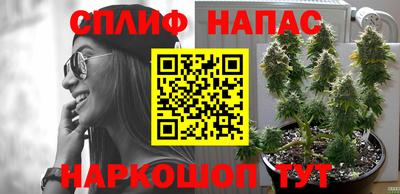 шишки Славянск-на-Кубани