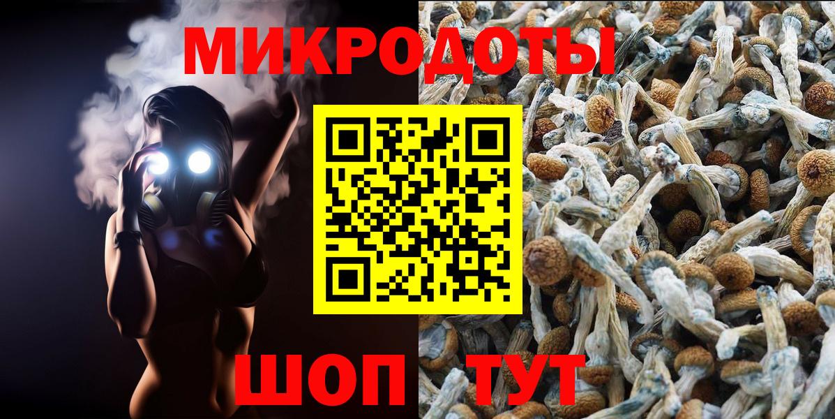 Оренбург  Галлюциногенные грибы ЛСД  Вход с VPN 